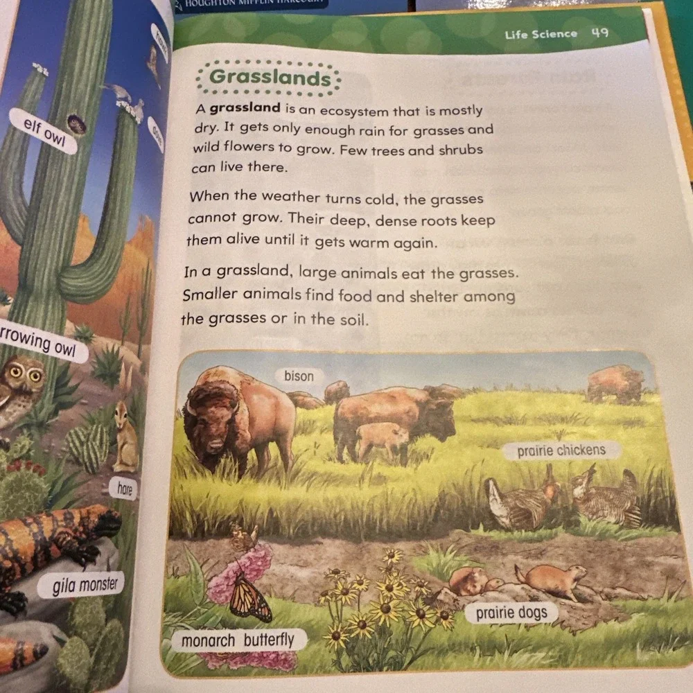 SCIENCESAURUS: STUDENT HANDBOOK W Teacher Guide GRADE K-1 By Houghton Mifflin